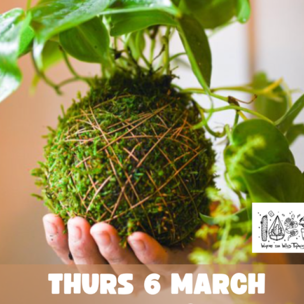 A Japanese kokedama moss ball is held in a palm